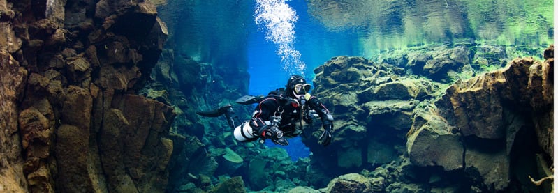 Heinerth publishes children's book