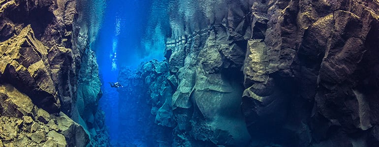 Alex Mustard takes over @SuuntoDive Instagram