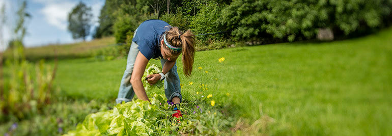 Fuelling the engine: talking nutrition with Emelie Forsberg