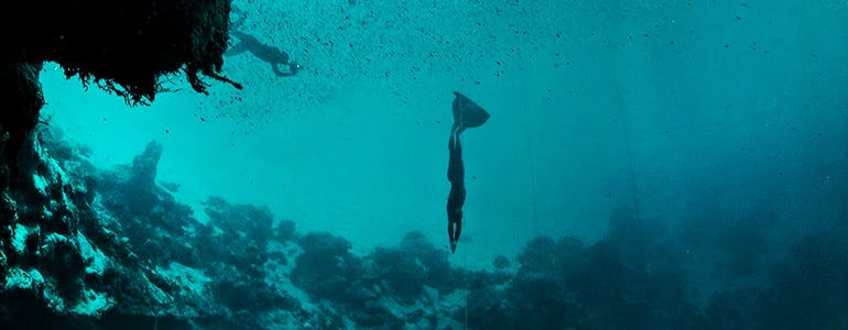 A visual guide to freediving