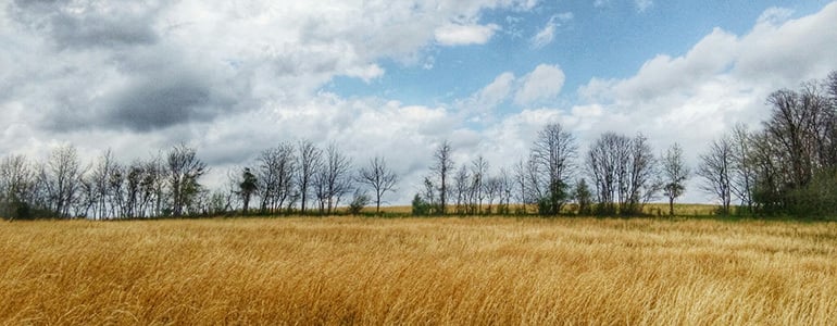 The run continues for real-life Forrest Gump