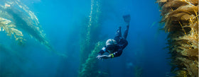 Learning the joy of freediving