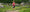 How to smash a stage trail race