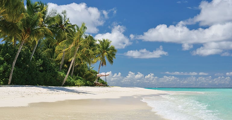 #Paradise contest closed. Winners announced soon