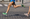 Does Running Build Leg Muscles? 