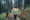 How to Lower Heart Rate at High Altitude when hiking