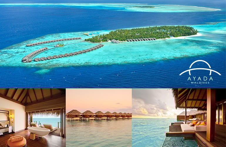 Win an exclusive diving trip with the Suunto team and the Scuba Diver Girls to the luxurious Ayada Maldives