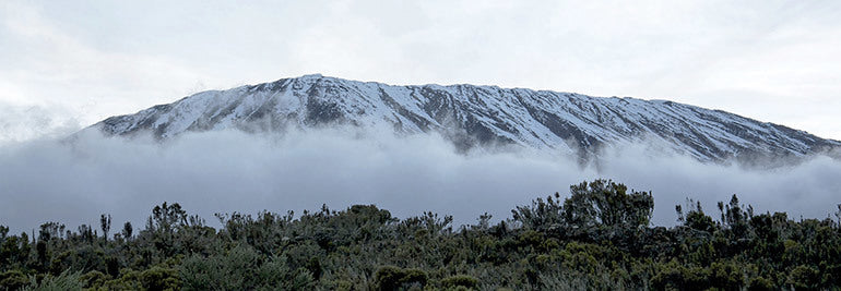 Mt. Kilimanjaro: More to Explore