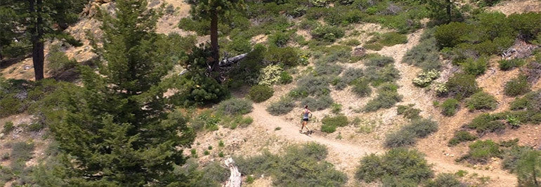 New life through running