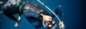 Experience the Blue Element freediving competition