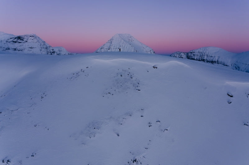 Calling winter sports fans: help researchers reduce avalanche fatalities