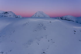 Calling winter sports fans: help researchers reduce avalanche fatalities