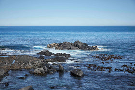 Help end plastic waste with your passion for running