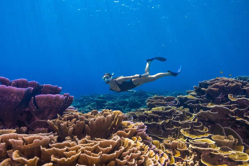 15 tips for beginners to fall in love with snorkeling