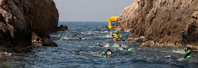 Swimming the wild open waters