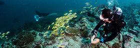 What you absolutely, positively, must bring and do on your first dive holiday