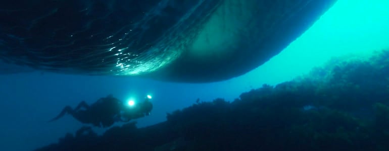Video: Diving under the ice