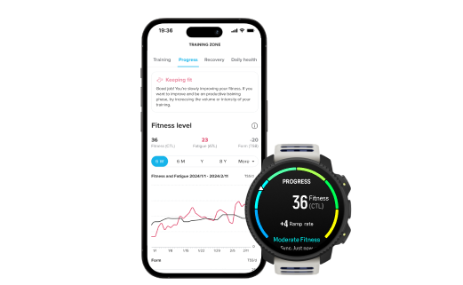 Fitness Assessment Algorithms