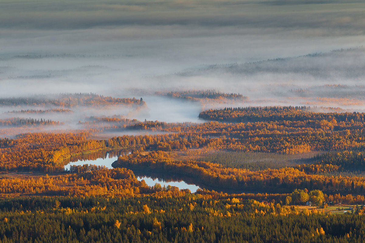 Suunto Essential Steel