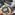 SUUNTO TANK POD Dive Products
