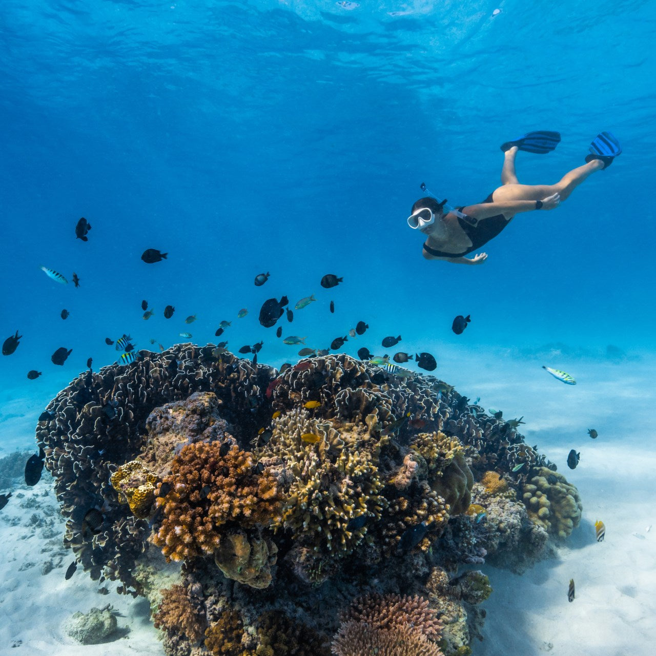 suunto-9-peak-pro-for-underwater