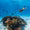 suunto-9-peak-pro-for-underwater