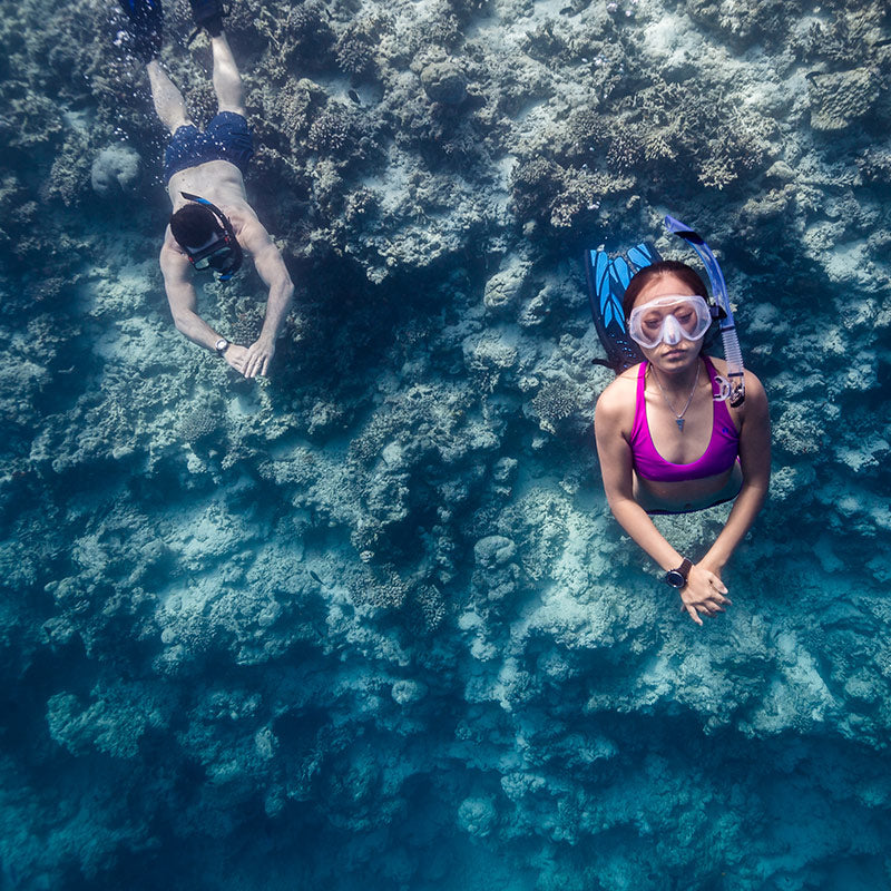 Suunto D4f Black Dive Computer Watch