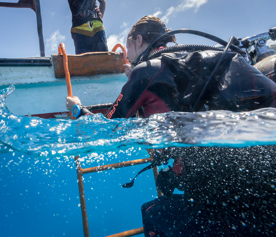 SUUNTO ZOOP NOVO BLUE Dive Computer Watch